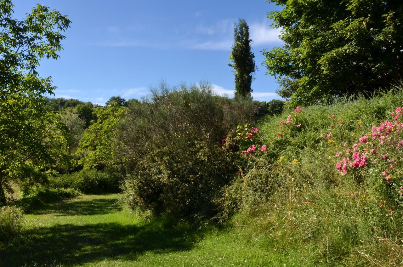 Agriturismo Villa Mozart Nel Verde Gubbio Kültér fotó