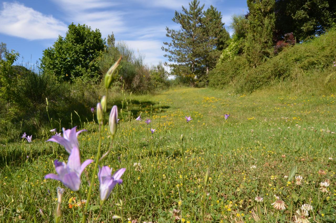 Agriturismo Villa Mozart Nel Verde Gubbio Kültér fotó