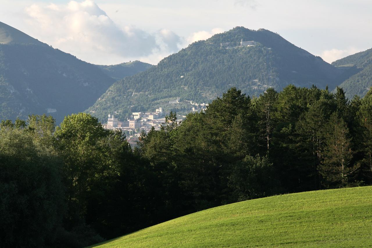 Agriturismo Villa Mozart Nel Verde Gubbio Kültér fotó