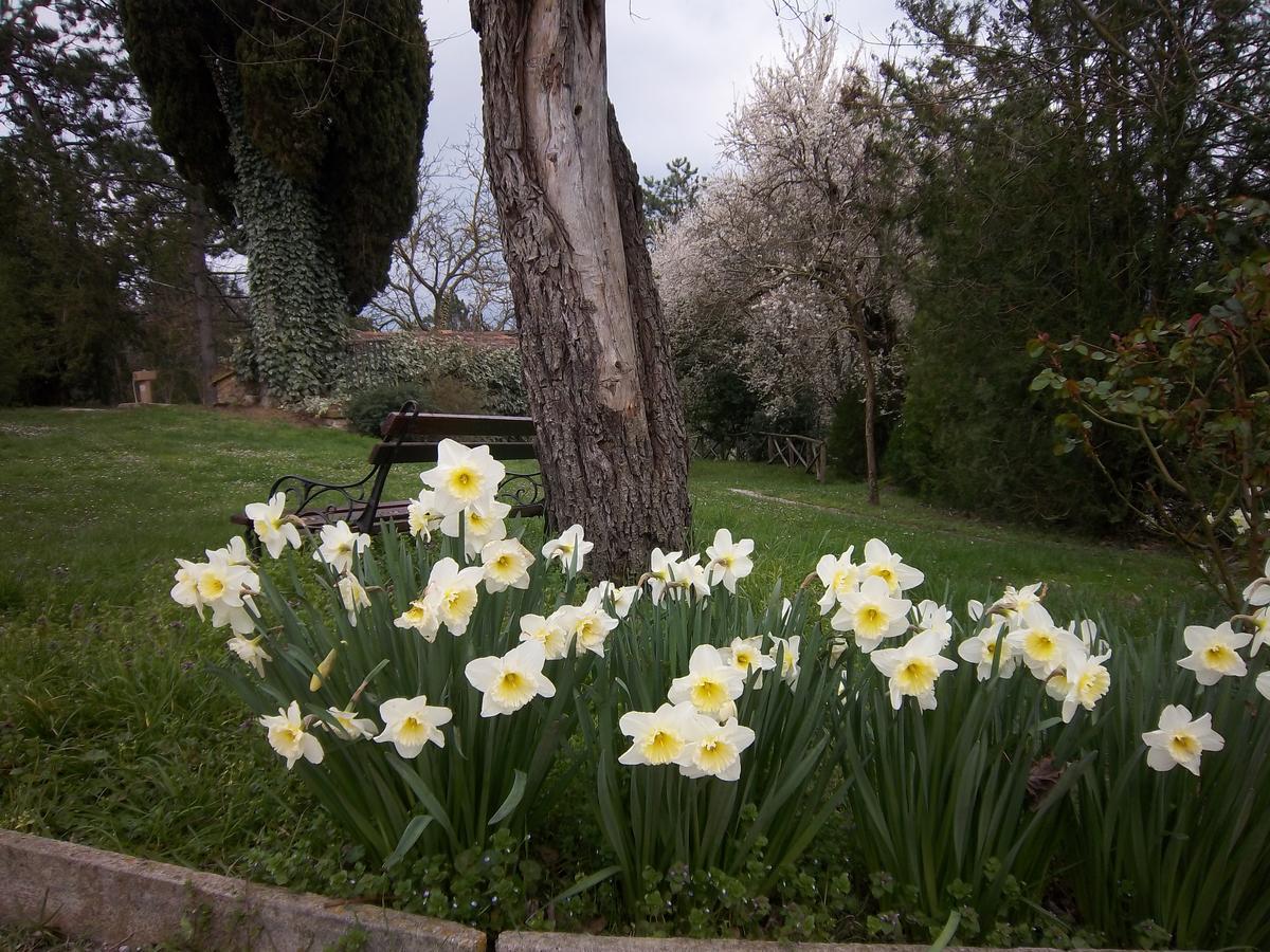 Agriturismo Villa Mozart Nel Verde Gubbio Kültér fotó