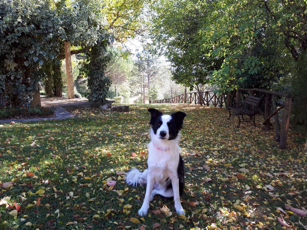 Agriturismo Villa Mozart Nel Verde Gubbio Kültér fotó