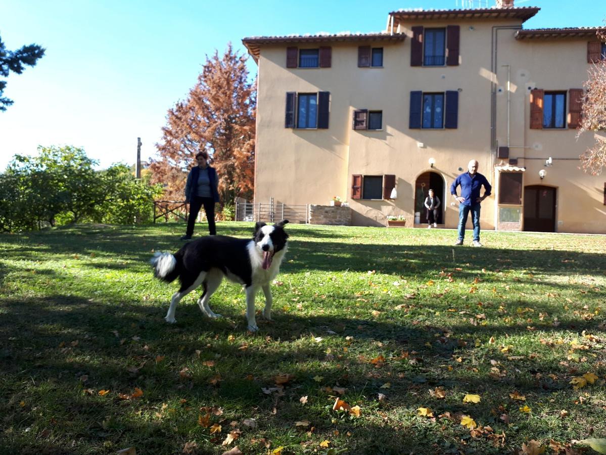 Agriturismo Villa Mozart Nel Verde Gubbio Kültér fotó