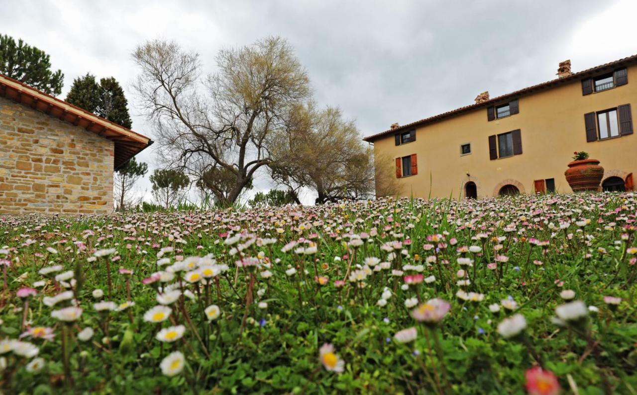 Agriturismo Villa Mozart Nel Verde Gubbio Kültér fotó